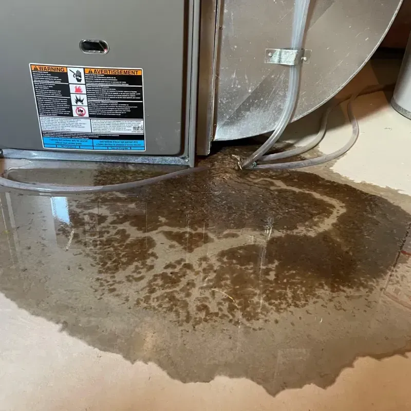 Appliance Leak Cleanup in Limerick, ME